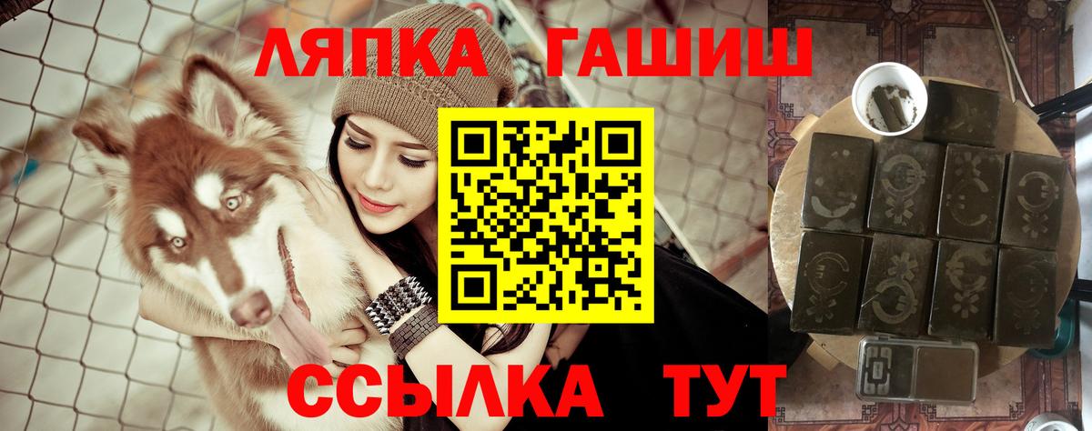 продажа наркотиков  ГАШ  Вход с VPN  Усть-Джегута  ГАШ хэш  ГАШИШ VHQ 
