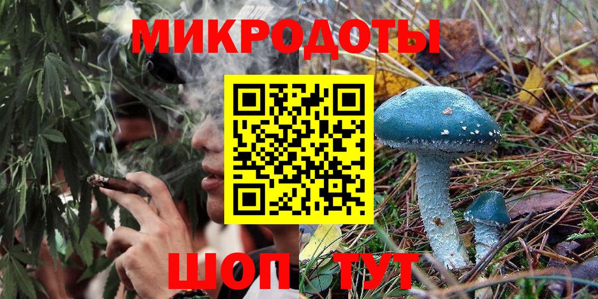 Усть-Джегута  Галлюциногенные грибы Psilocybine cubensis  Вход с VPN 